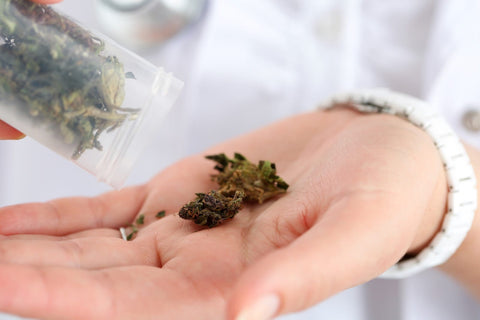 Ab August Cannabismedizin in der Schweiz unkompliziert? - Internationale Hanfpolitik - Hanf Magazin