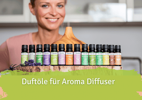 Welche Duftöle Für Diffusor?