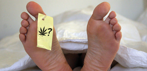 Cannabis-Prohibition fordert Todesopfer in Delmenhorst – Hanfjournal