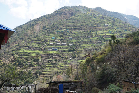 Hanf in Nepal - Hanf allgemein - Hanf Magazin