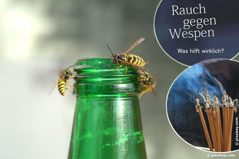 Welche Räucherstäbchen Gegen Wespen?