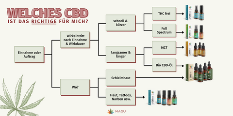 Welches Cbd öl Ist Das Richtige Für Mich?