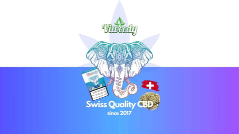 Viweedy logo featuring an elephant and Swiss flag, promoting premium CBD quality since 2017.