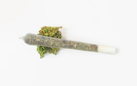 Hanf, Cannabis, Marihuana & Haschisch:  Wo liegt der Unterschied?
