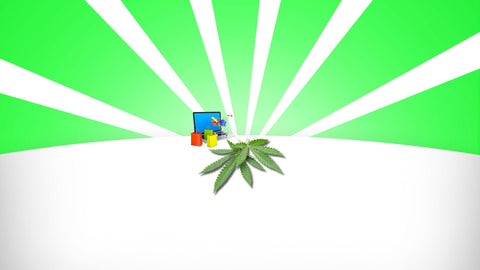 CBD ONLINESHOP SCHWEIZ
