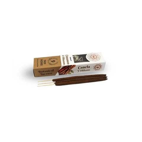 Green Tree - Cinnamon & Olibanum Botanical Incense Sticks in a package with incense sticks laid out.