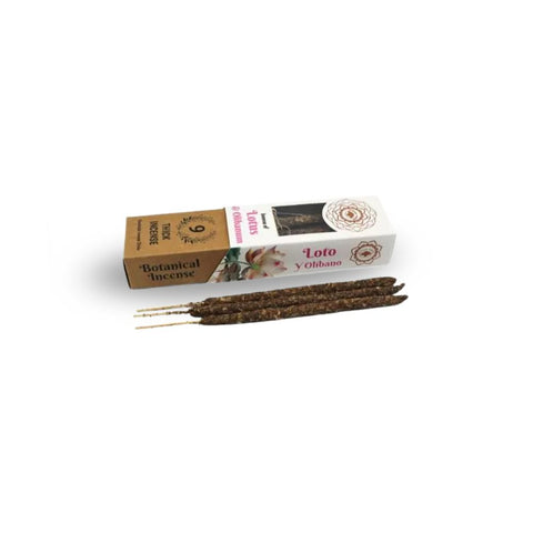 Green Tree - Lotus & Olibanum Botanical Incense Sticks in packaging with incense sticks laid out.