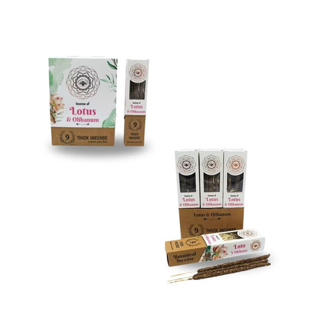 Green Tree - Lotus & Olibanum Botanical Incense Sticks im Verkauf mit Verpackung und Stäbchen.