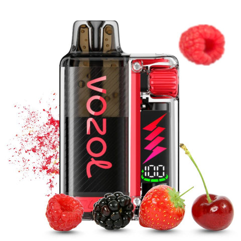 VOZOL Vista Plug Starter Kit with berry elements - innovative vape system, stylish design, 12 ml capacity.