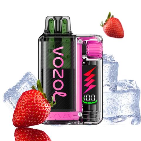VOZOL - Vista Plug Starter Kit
