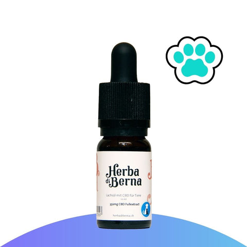 CBD-Hanföl für Katzen kaufen
