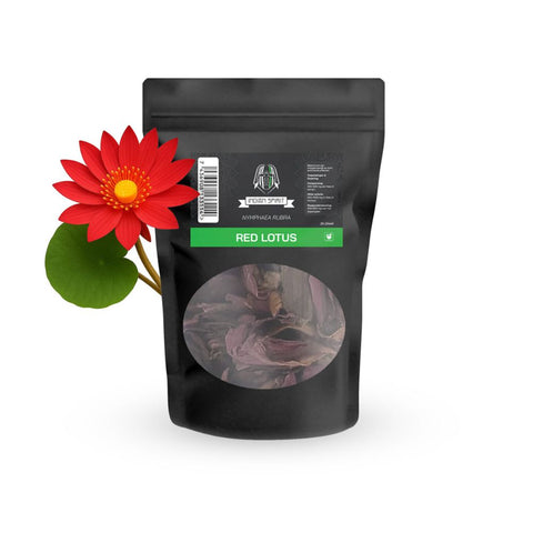 Indian Spirit Red Lotus Shredded 25 g, getrocknete rote bis dunkelrosa Blüten der Roten Seerose Nymphaea rubra