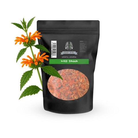 Indian Spirit Wild Dagga Flowers 25 g, getrocknete orangefarbene Blüten der südafrikanischen Löwenschwanzpflanze Leonotis leonurus