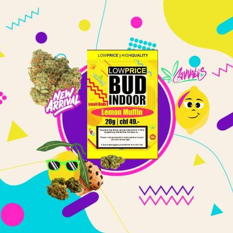 CBD Blüten Indoor Lemon Muffin Small Buds 20g Limited Edition with vibrant packaging and colorful background.