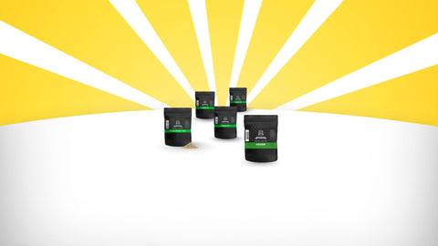 Kanna – traditionelles Pflanzenextrakt mit kulturellem Ursprung