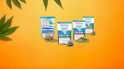 Blüten kaufen – Indoor & Outdoor Hanfprodukte