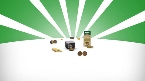 beste cbd haschisch kaufen schweiz