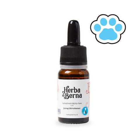 CBD-Hanföl für Katzen herba di berna