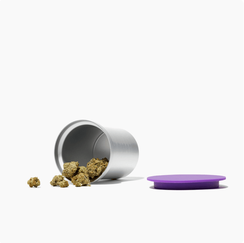 CBD & Räucherwerk Online Shop Schweiz | Ardent Nova Cannabis Decarboxylator 220V
 findest du im Viweedy Store in Basel