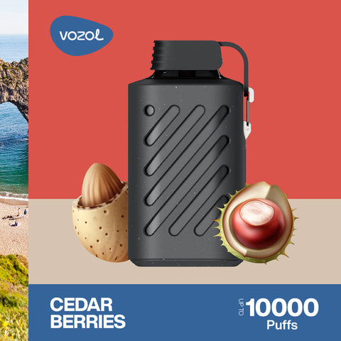 Vozol Gear 10000 PUFF 20mg Cedar Berries Schweiz Viweedy Vapeshop
