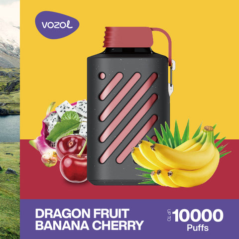 Vozol Gear 10000 PUFF NS 20mg Dragonfruit Banana Cherry Schweiz Viweedy