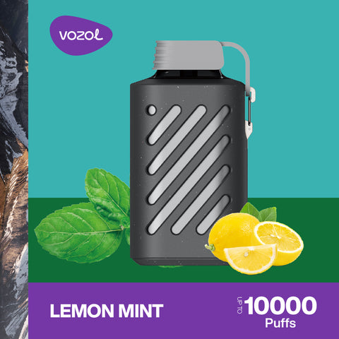 Vozol Gear 10000 PUFF NS20mg Lemon Mint Schweiz Viweedy