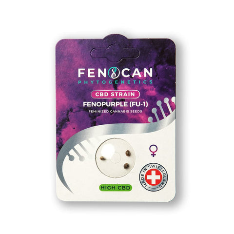Limited Fenopurple Cannabis Seeds 3 pcs.