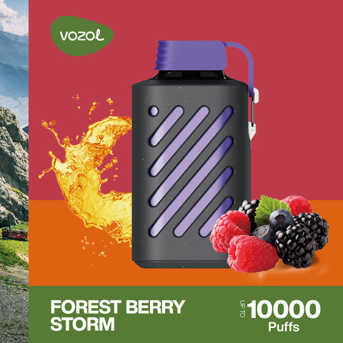Vapeshop Schweiz Vozol Gear 10000 PUFF NS20mg Forest Berry Storm Schweiz Viweedy
