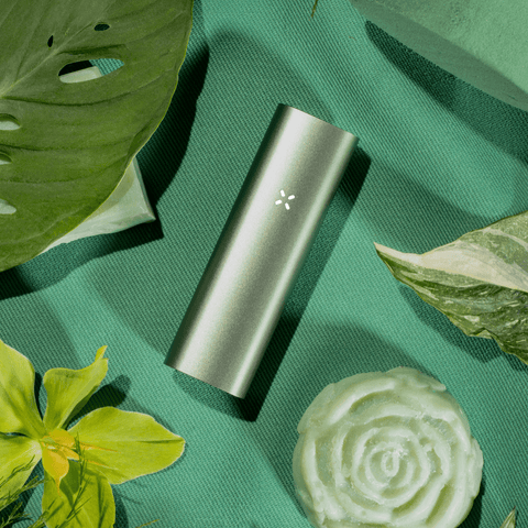 CBD & Räucherwerk Online Shop Schweiz | PAX 3 Vaporizer Komplett Set NEUE FARBEN
findest du im Viweedy Store in Basel