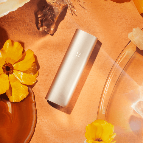 CBD & Räucherwerk Online Shop Schweiz | PAX 3 Vaporizer Komplett Set NEUE FARBEN
findest du im Viweedy Store in Basel