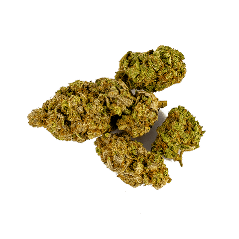 CBD & Räucherwerk Online Shop Schweiz | Viweedy Purple Haze CBD Indoor JETZT: MIT MEHR INHALT
findest du im Viweedy Store in Basel