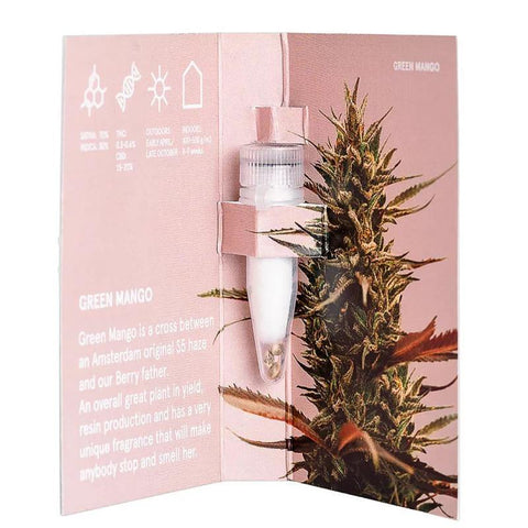 CBD & Räucherwerk Online Shop Schweiz | One - Green Mango CBD Samen 3 Stk. FEMINISIERT
findest du im Viweedy Store in Basel