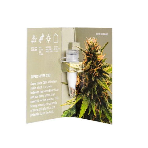 CBD & Räucherwerk Online Shop Schweiz | One - Super Silver CBD Samen 3 Stk. FEMINISIERT
findest du im Viweedy Store in Basel