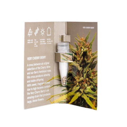 CBD & Räucherwerk Online Shop Schweiz | One - very Cherry Berry CBD Samen 3Stk. Feminisiert
findest du im Viweedy Store in Basel