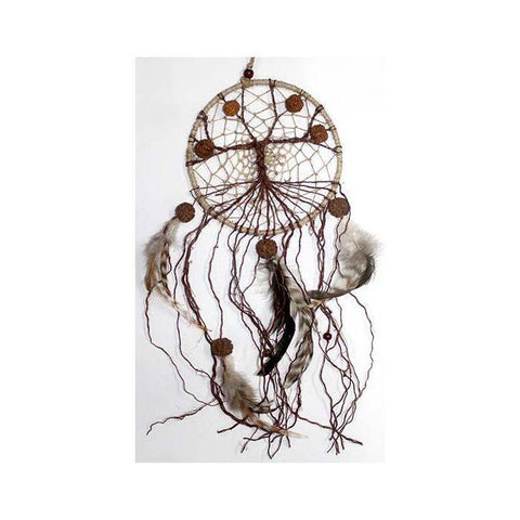 CBD & Räucherwerk Online Shop Schweiz | Traumfänger Hemp Cord Tree Rudraska by Green Treen
findest du im Viweedy Store in Basel