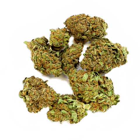 CBD & Räucherwerk Online Shop Schweiz | Viweedy Midnight Green CBD Blüten Indoor
findest du im Viweedy Store in Basel