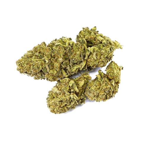 CBD & Räucherwerk Online Shop Schweiz | Viweedy Snow White Indoor CBG
findest du im Viweedy Store in Basel