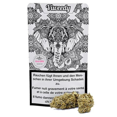 CBD & Räucherwerk Online Shop Schweiz | Viweedy Snow White Indoor CBG
findest du im Viweedy Store in Basel