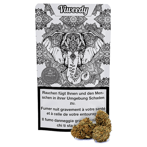 CBD & Räucherwerk Online Shop Schweiz | Viweedy Stoney Cush CBD Blüten Outdoor
findest du im Viweedy Store in Basel