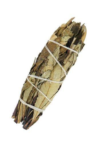 CBD & Räucherwerk Online Shop Schweiz | Yerba Santa Smudge Stick 15cm - Räucherbündel
findest du im Viweedy Store in Basel