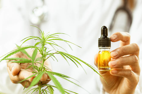Welches Cbd Bei Nervenschmerzen?