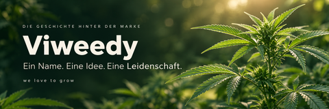 Entstehung der Cannabis-Marke Viweedy und die Bedeutung des Wortes Viweedy.