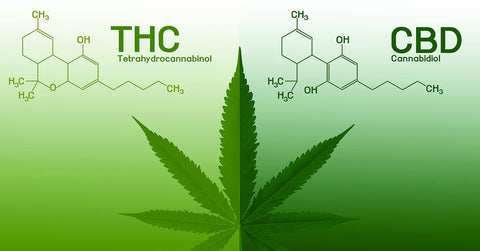 Was Ist Cbd Und Thc?