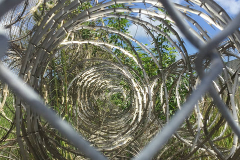 USA: H&#228;ftling nach 31 Jahren Gef&#228;ngnis wegen Cannabis-Versto&#223; freigelassen