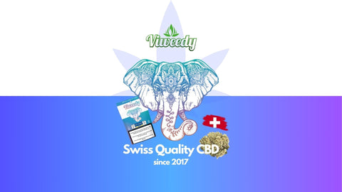 Viweedy: Die besten CBD Blüten aus der Schweiz