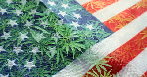 Virginia hat Grünes Licht gegeben und legalisiert Cannabis 2024
