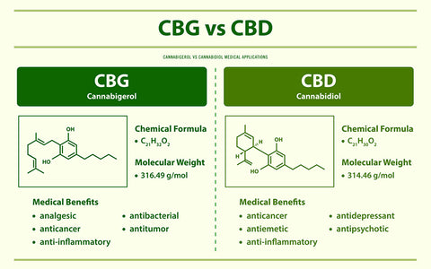 Was Ist Der Unterschied Zwischen Cbd Und Cbg?