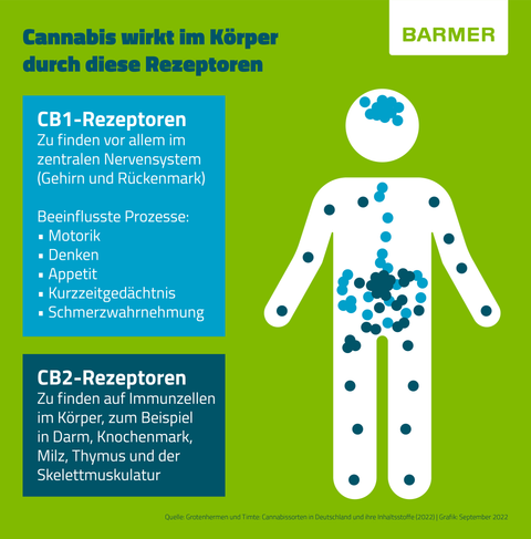 Was Macht Cbd Im Körper?