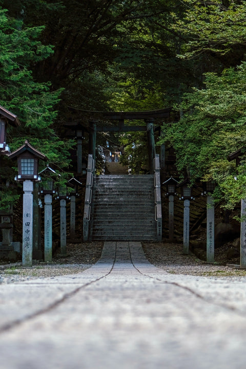 Hanf-Museum in Japan &#8211; Nachtschatten Verlag AG