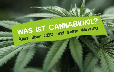 Was Macht Cbd?